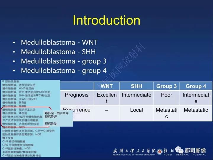 【PPT】后颅窝肿瘤性病变影像诊断