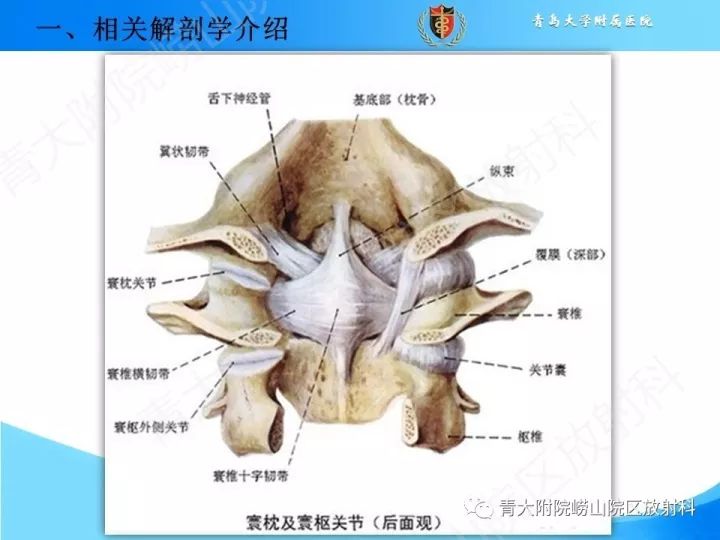 【PPT】颅颈交界区相关影像学测量