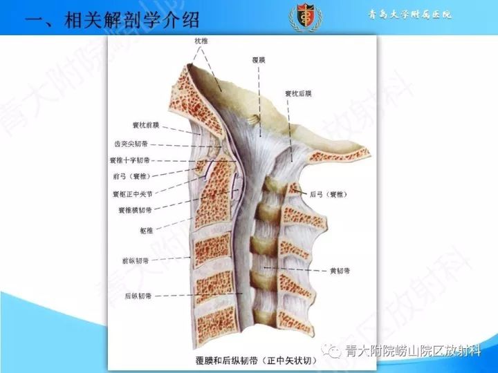 【PPT】颅颈交界区相关影像学测量