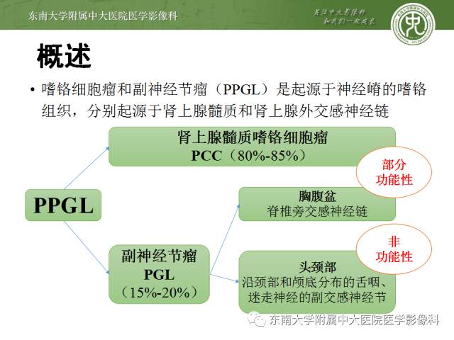 【病例】嗜铬细胞瘤2例CT影像表现