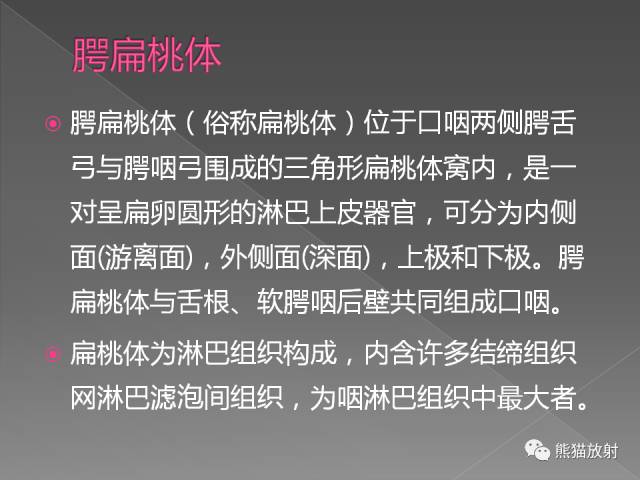 【PPT】扁桃体淋巴瘤——影像表现