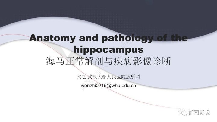 【PPT】海马正常解剖与疾病影像诊断