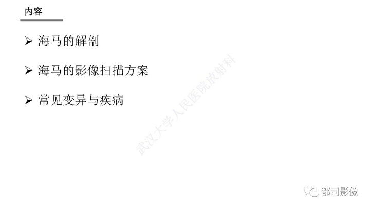【PPT】海马正常解剖与疾病影像诊断