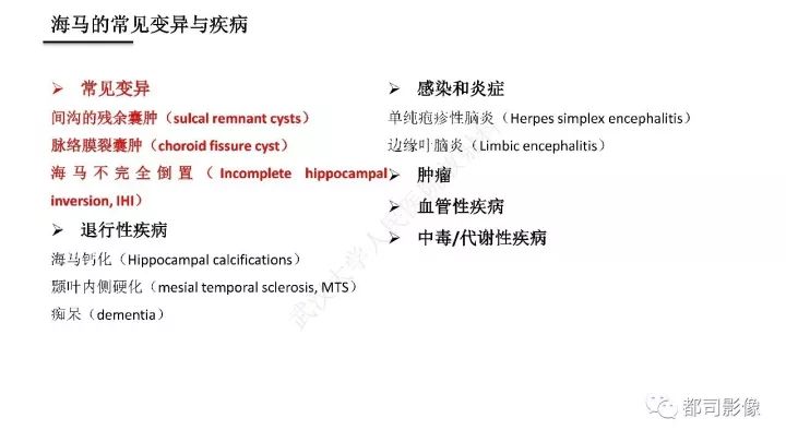【PPT】海马正常解剖与疾病影像诊断