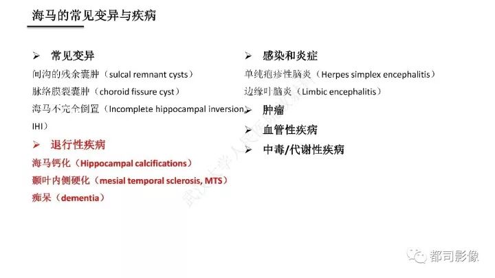 【PPT】海马正常解剖与疾病影像诊断