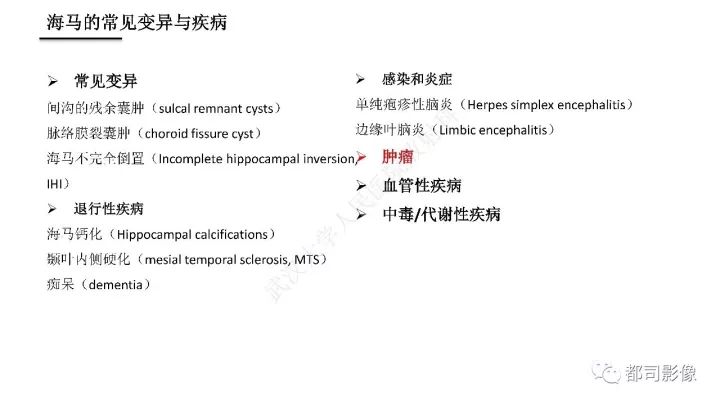 【PPT】海马正常解剖与疾病影像诊断