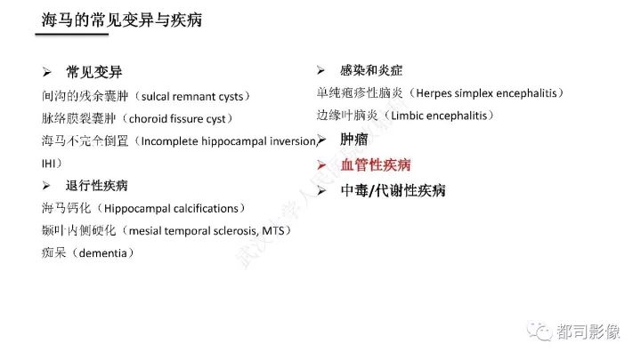 【PPT】海马正常解剖与疾病影像诊断