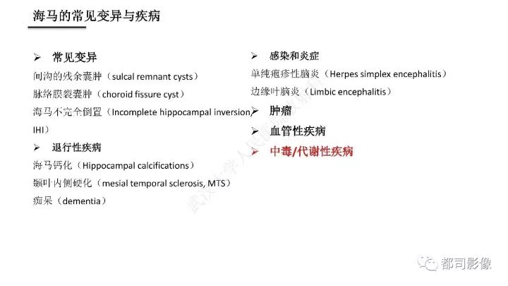 【PPT】海马正常解剖与疾病影像诊断