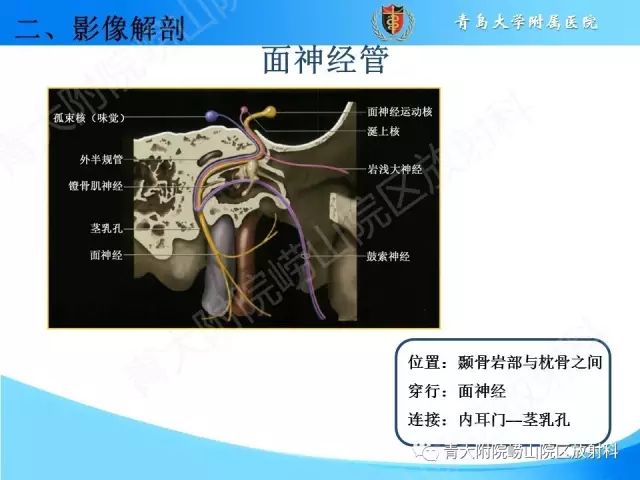 【PPT】颅底孔道的影像解剖和诊断