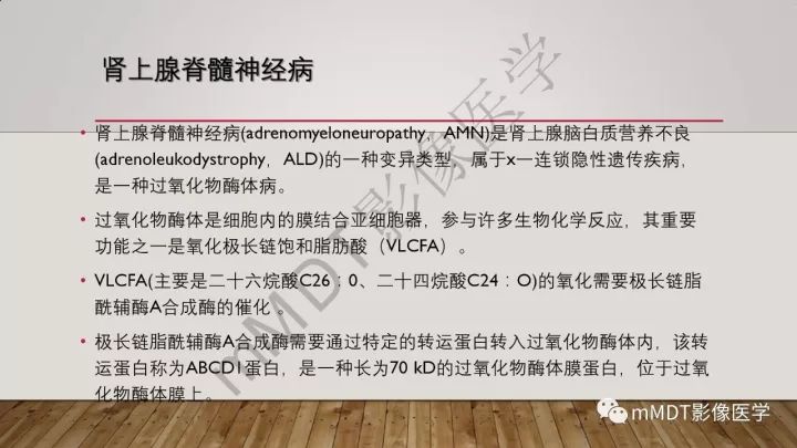 【病例】肾上腺脊髓神经病1例MR