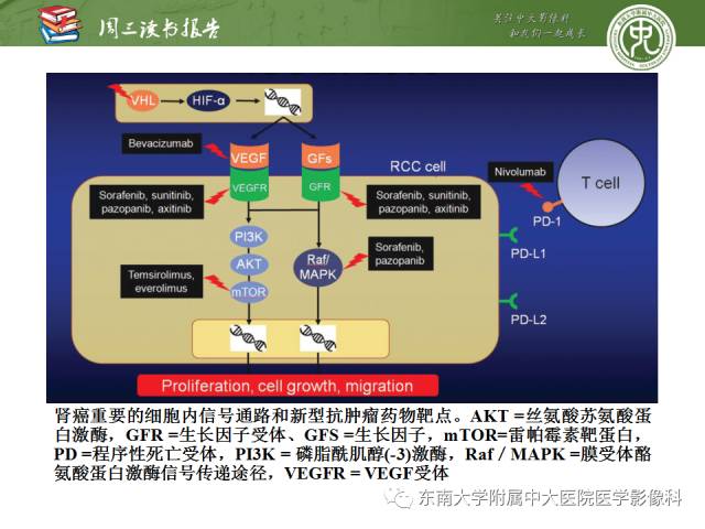 【PPT】晚期肾细胞癌：影像医生在精准医学时代中的作用