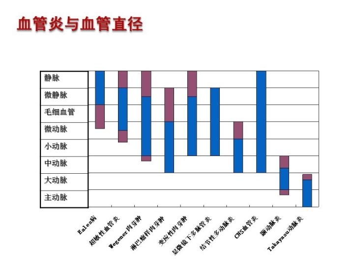 【PPT】中枢神经系统血管炎的临床思考