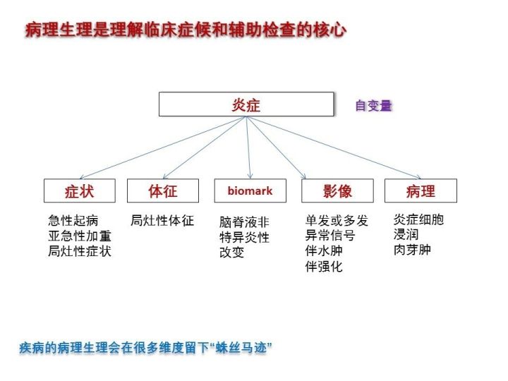 【PPT】中枢神经系统血管炎的临床思考