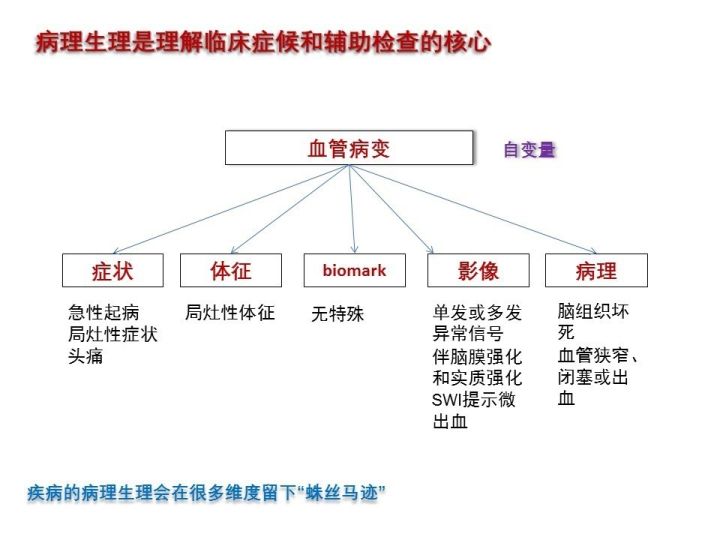 【PPT】中枢神经系统血管炎的临床思考