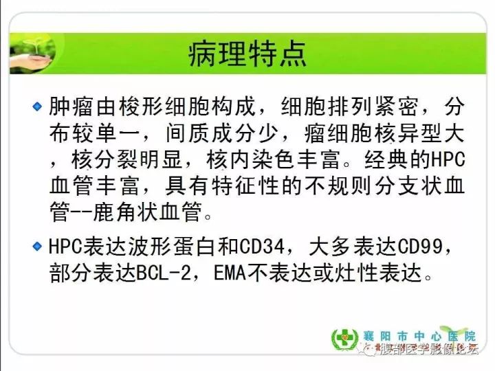 【病例】盆腔恶性血管周细胞瘤(外皮细胞瘤)1例