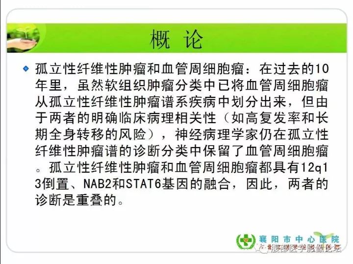 【病例】盆腔恶性血管周细胞瘤(外皮细胞瘤)1例
