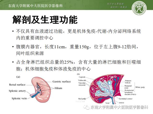 【病例】脾脏肿大两例PET/CT影像诊断与鉴别