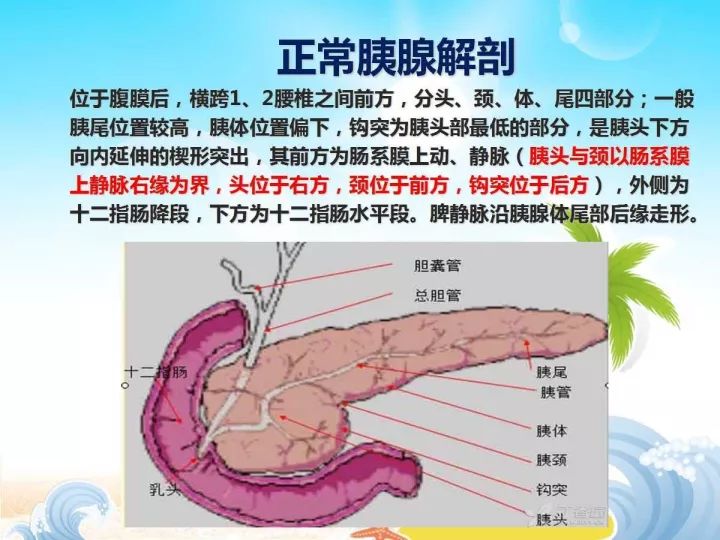 【PPT】胰腺肿瘤的影像诊断