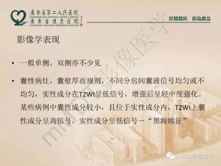 【PPT】卵巢肿瘤读片