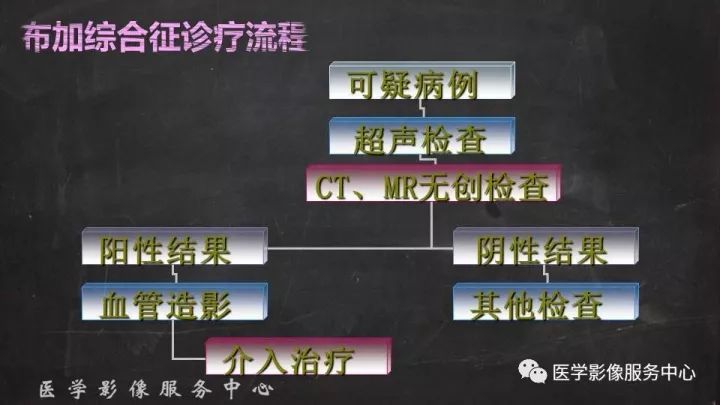 【PPT】布加综合征
