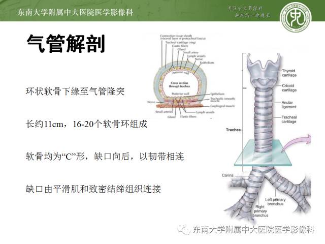 【病例】气管肿瘤2例CT影像诊断 【病例】气管肿瘤2例CT影像诊断