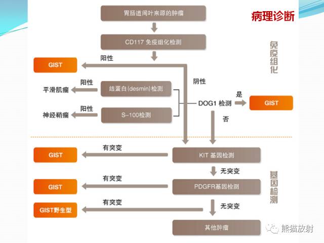 【病例】胃肠道间质瘤GIST一例CT影像诊断