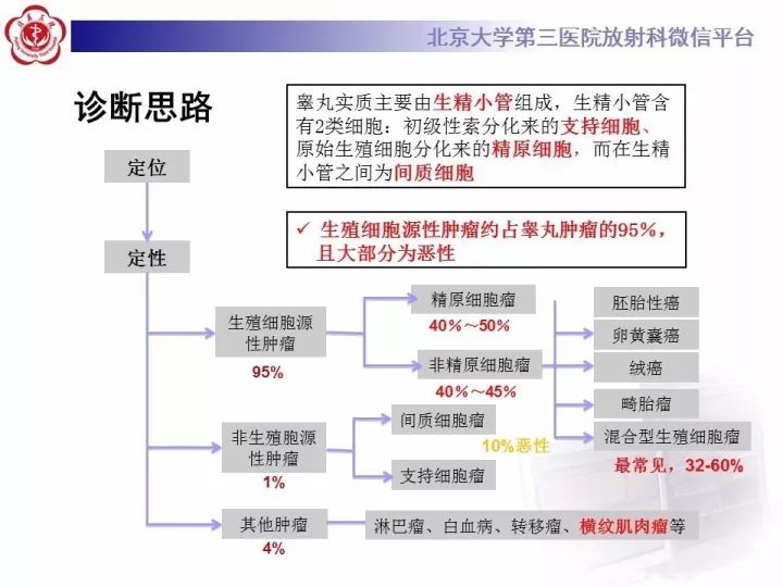【病例】睾丸横纹肌肉瘤1例CT及MR影像思路分析