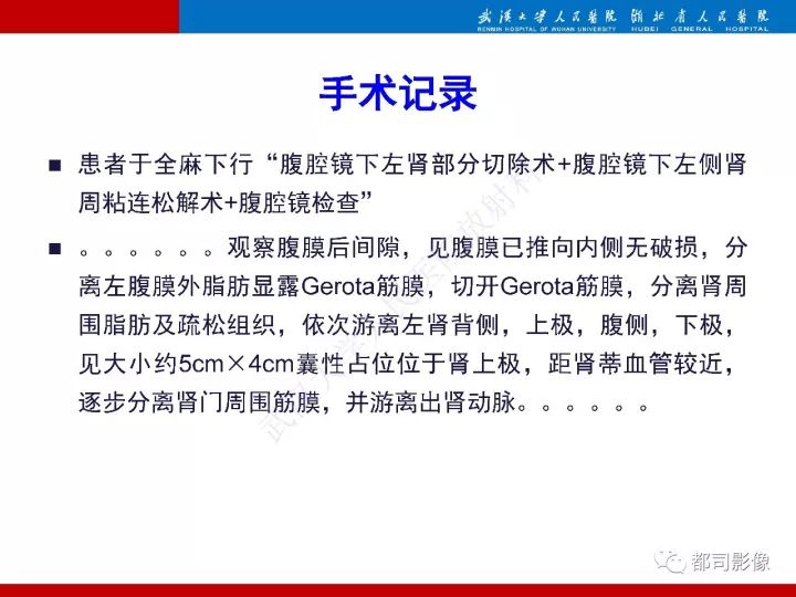 【PPT】多房囊性肾瘤影像诊断