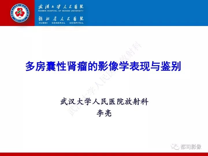 【PPT】多房囊性肾瘤影像诊断