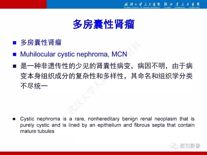 【PPT】多房囊性肾瘤影像诊断