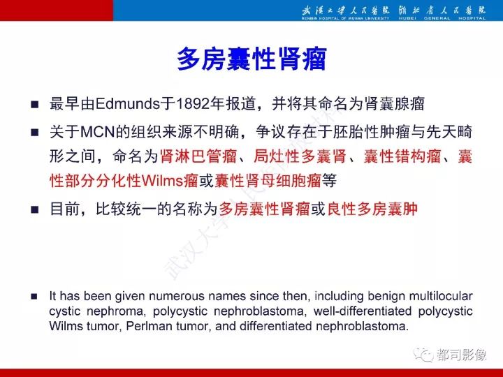 【PPT】多房囊性肾瘤影像诊断