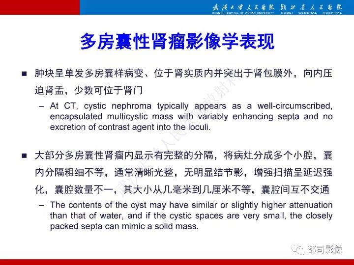 【PPT】多房囊性肾瘤影像诊断