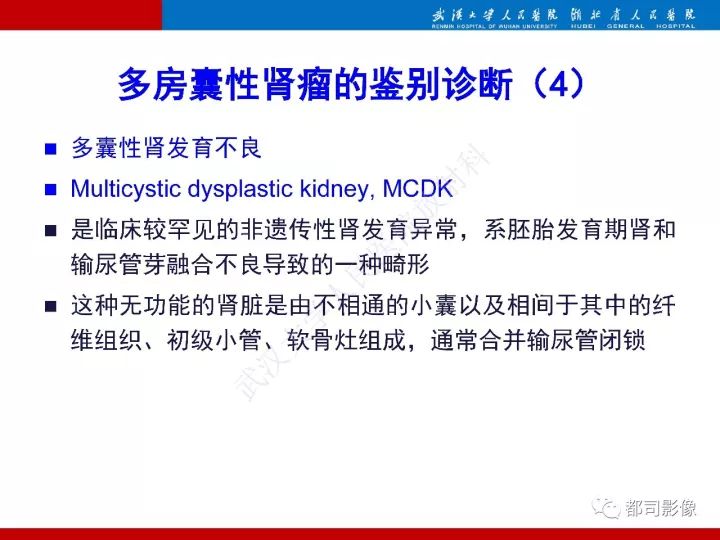 【PPT】多房囊性肾瘤影像诊断