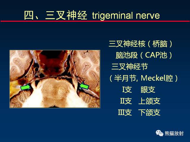 【柳澄讲坛】MR新技术在颅神经研究中的应用
