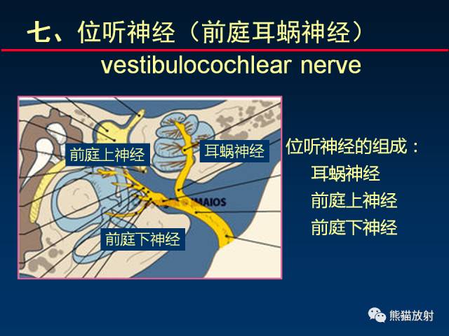 【柳澄讲坛】MR新技术在颅神经研究中的应用