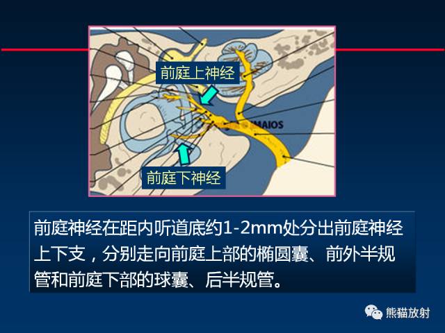 【柳澄讲坛】MR新技术在颅神经研究中的应用