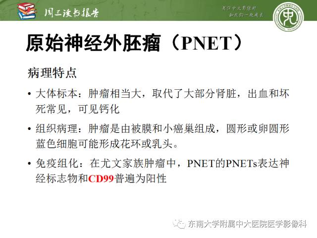 【PPT】儿童肾肿瘤：影像-病理相关性第二部分（10 ~ 20岁）