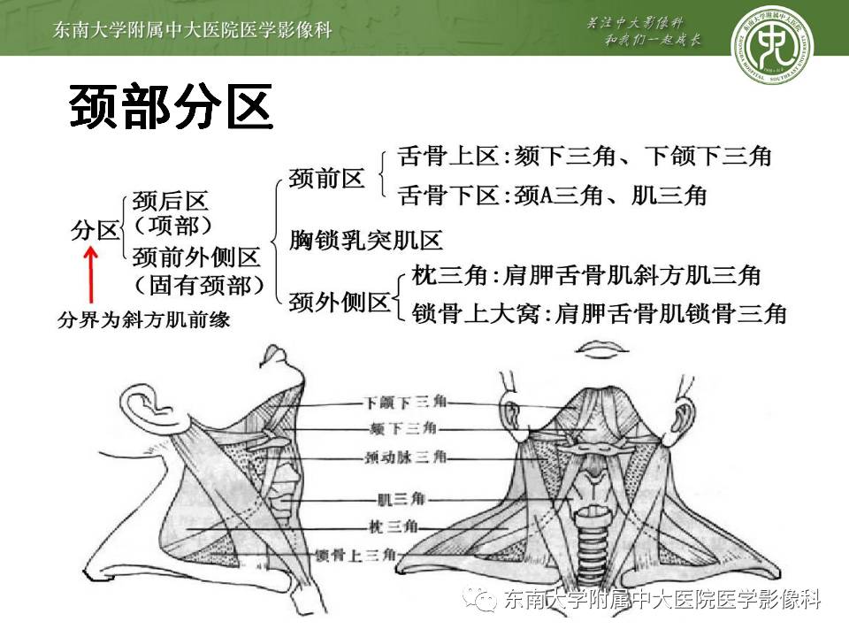 【病例】鳃裂囊肿VS甲状舌管囊肿1例CT