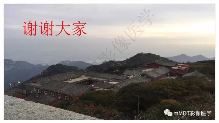 【PPT】卵黄囊瘤(内胚窦瘤)影像诊断