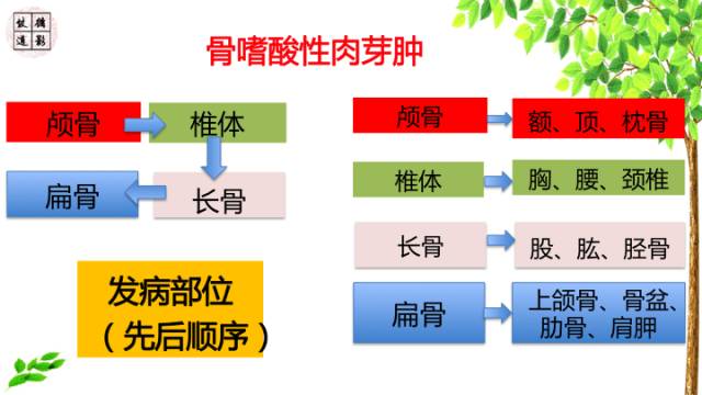 【病例】颅骨嗜酸性肉芽肿1例CT及MR影像诊断