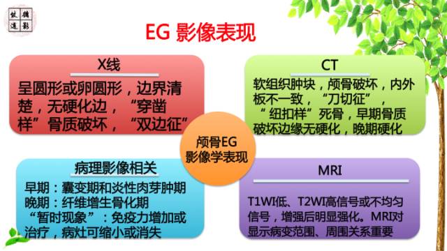 【病例】颅骨嗜酸性肉芽肿1例CT及MR影像诊断