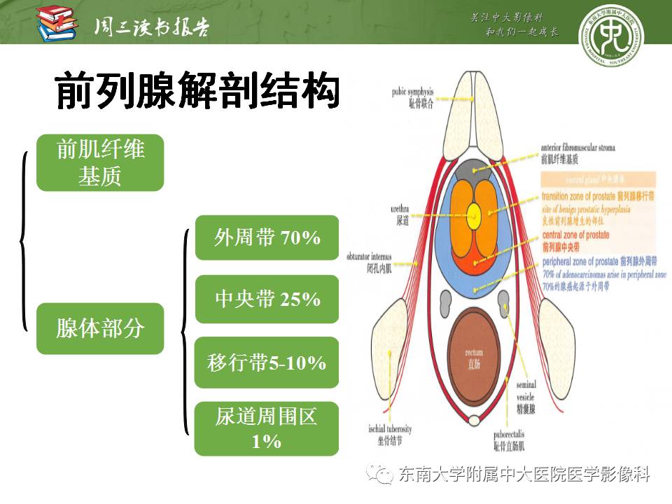 【PPT】MR易误诊为前列腺癌的良性表现：影像-病理相关性