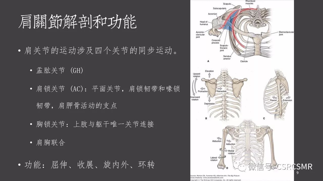 【PPT】肩关节MRI的结构式评估
