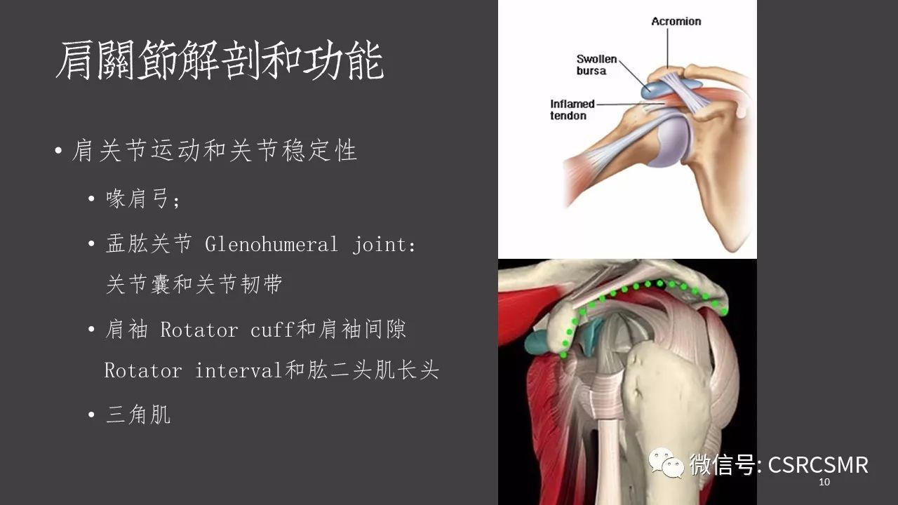 【PPT】肩关节MRI的结构式评估