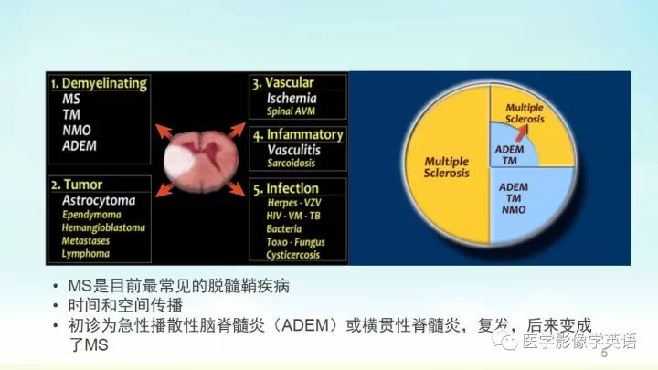 【PPT】脊髓病例