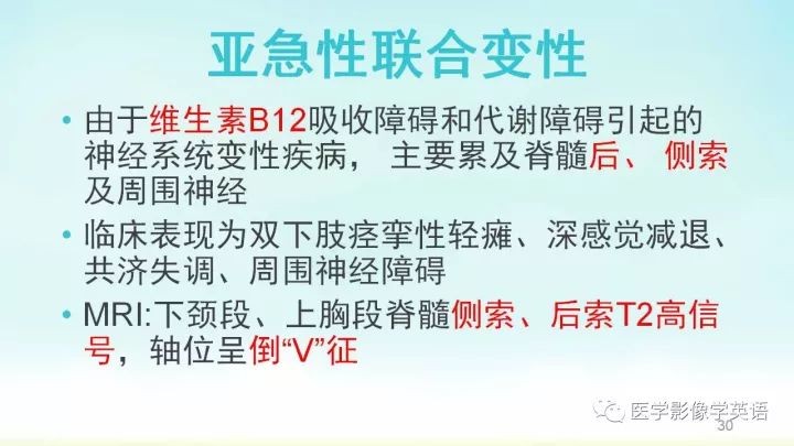 【PPT】脊髓病例