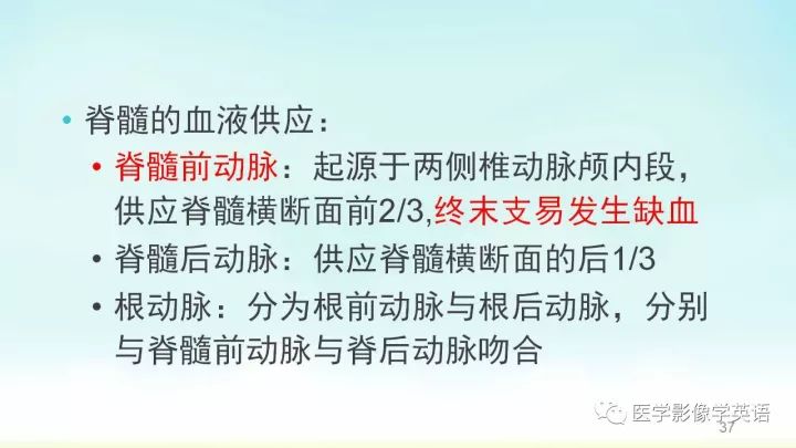 【PPT】脊髓病例