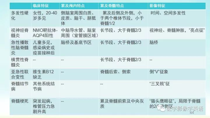 【PPT】脊髓病例