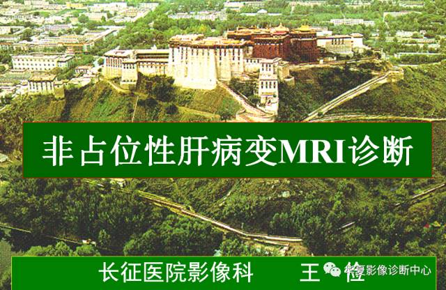 【PPT】非占位性肝病变MRI诊断