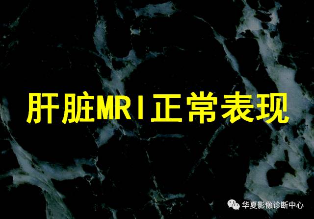 【PPT】非占位性肝病变MRI诊断